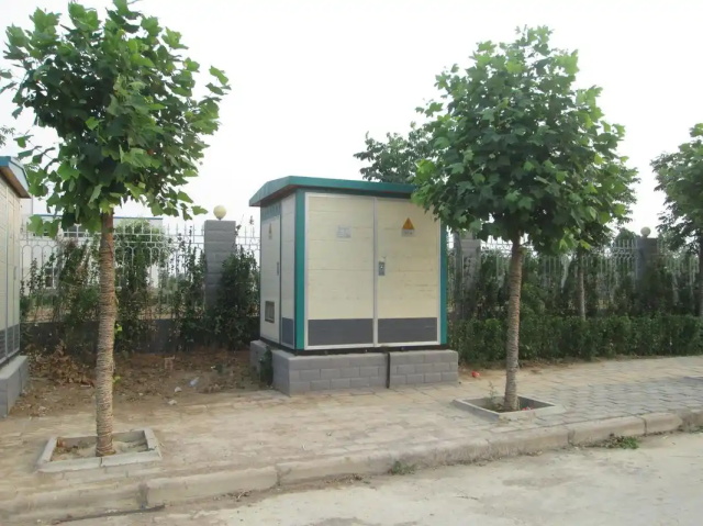 芦淞1000KVA欧式箱式变压器